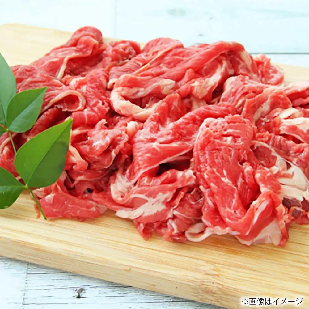 【全12回定期便】長崎和牛 切り落とし 総計19.2kg （約1.6kg/回）【ながさき西海農業協同組合】 [DBV048][DBV048]