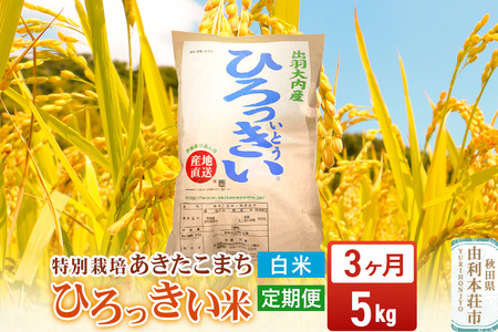 《定期便3ヶ月》【白米】 秋田県産 あきたこまち 5kg 令和7年産 特別栽培米 ひろっきい米