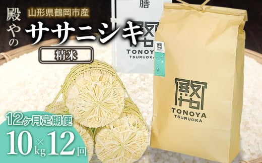 【令和7年産先行予約】【定期便12ヶ月】 殿やの 「ササニシキ」精米 10kg (10kg×1袋) ×12ヶ月 山形県鶴岡市産　K-775