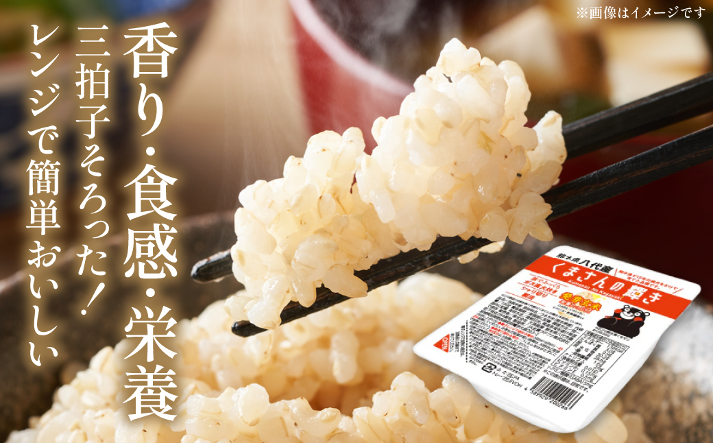 【先行予約】くまさんの輝き 発芽玄米 パックごはん 180g×24個入り 米 お米 コメ 熊本県産 国産 パックご飯 ひとり暮らし 非常食 防災 仕送り 備蓄 【2025年11月下旬より順次発送】