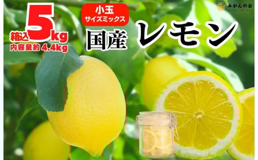 
            レモン 小玉 国産 箱込5kg(内容量約4.4kg) 秀品 S M L サイズミックス 和歌山県有田産 【みかんの会】
          