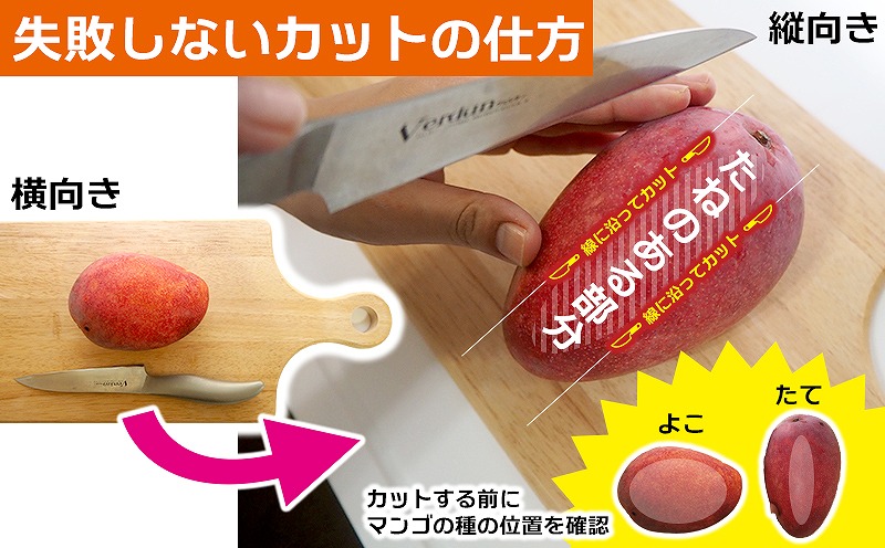 【2025年発送】新里農園のアップルマンゴー家庭用（約2kg） 農家さん直送 アーウィン 果物 甘い 夏 濃厚 ギフト Mango ランキング 完熟 お気に入り 収穫 人気 フルーツ 沖縄県 先行予約