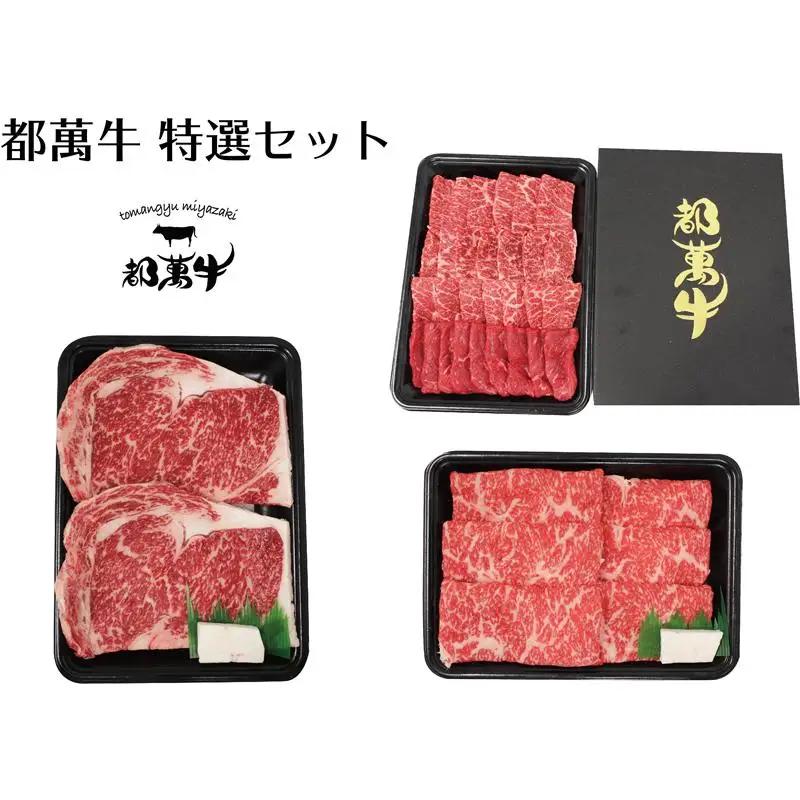 黒毛和牛『都萬牛』特選セット 牛肉 すき焼き・焼肉・ステーキ 国産牛肉＜6-1a＞