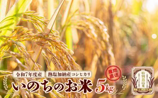 【先行予約】令和7年産雪蔵銀ぴか米 熱塩加納産 いのちのお米（コシヒカリ）5kg（令和7年10月24日以降発送）　【07208-0683】