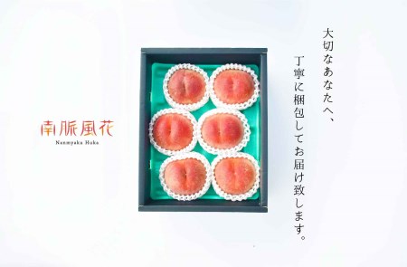 5-40 【先行予約】山梨県産桃　定期便2.0kg×2回