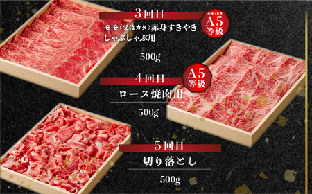 《定期便5回》飛騨牛食べつくし厳選セレクト 5か月 焼肉 サーロイン肩ロース ロース モモ すき焼き しゃぶしゃぶ 食べ比べ 牛肉 国産 焼き肉 赤身 A4 A5 等級 だるまミート 岐阜県 白川村 
