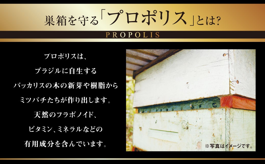 【6回定期便】ローヤルゼリー＆プロポリス入り マヌカ蜜 500g
