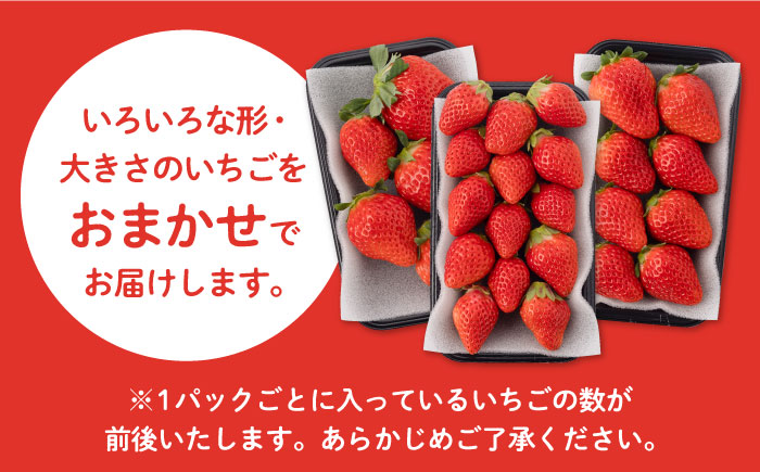 【先行予約】白石産いちご さがほのか 約150g×12パック（計1800g以上） [IAA038]