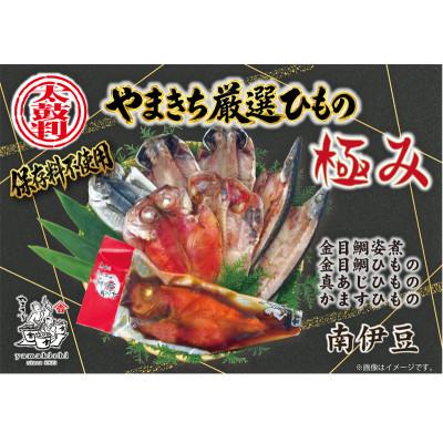 ふるさと納税 南伊豆町 南伊豆の老舗ひもの屋やまきちの　　　　　厳選〜極み〜ひものセット