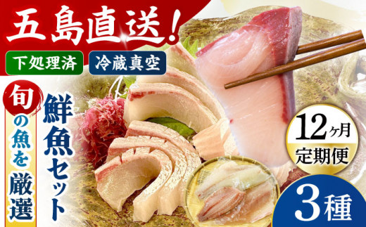 【全12回定期便】金澤仕立て 鮮魚ボックス 旬の魚3種 鮮魚 冷蔵 真空パック 新鮮 下処理済み 海鮮 刺身 セット 五島市/金沢鮮魚 [PEP014]