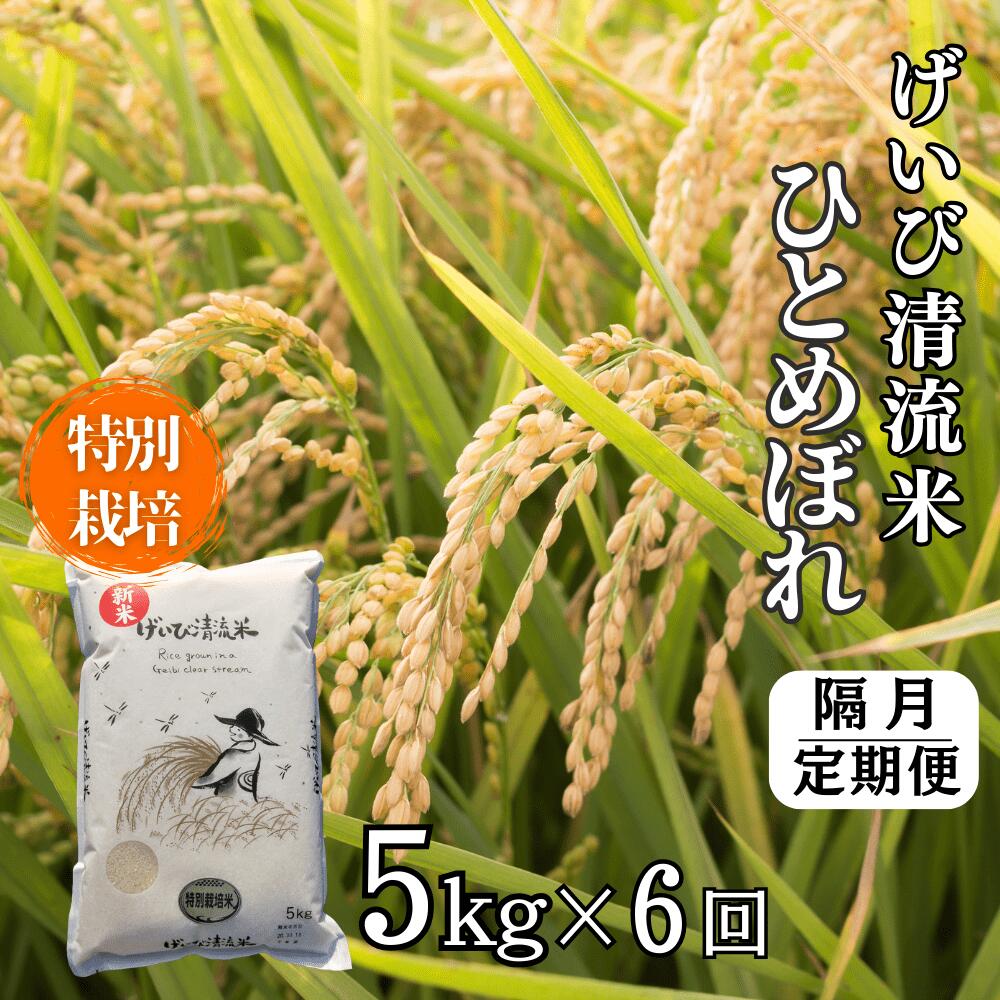 《 新米先行予約 》【隔月定期便6回】令和7年産 特別栽培 ひとめぼれ5kg