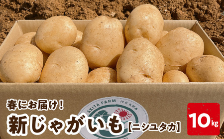 【 2026年先行予約 】新じゃがいも ニシユタカ 10kg 3月お届け C056-005-02 じゃがいも 新じゃが いも 芋 ポテト 野菜 ミネラル豊富 料理 調理 先行予約 先行受付 先行 予約 沖永良部産 堀りたて 美味しい 新鮮 穐田農園 ふるさと納税 知名町 おすすめ ランキング プレゼント