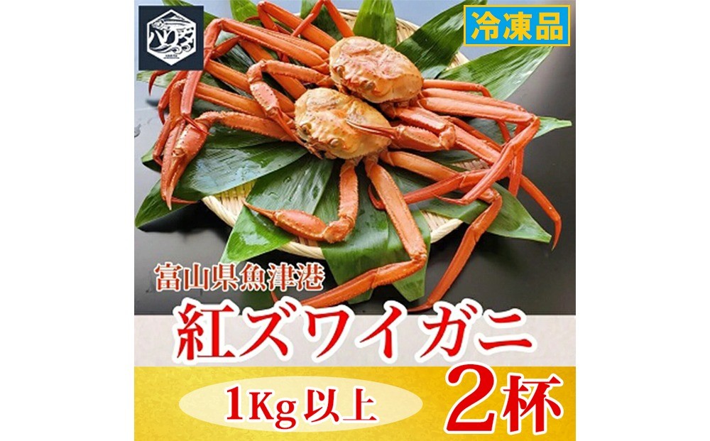 
                  【冷凍】自社漁船直送！魚卸問屋の紅ズワイガニ 1kg以上×2ハイセット ※2026年9月～発送
                