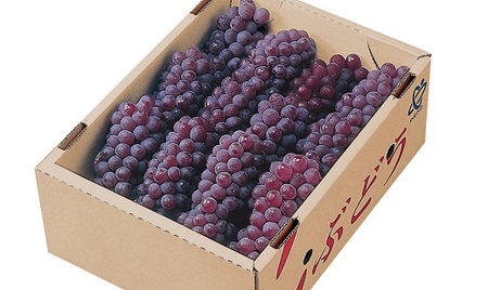 ぶどう（デラウェア）２ｋｇ　0060-2607