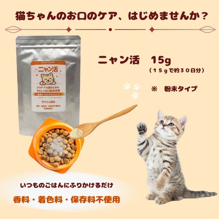 【ふるさと納税】ニャン活　15g×1個