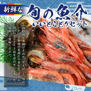 ＜平日着＞＜6～8月配送不可＞甘えび/旬のいか/サザエの詰合せ 国産 魚介 海鮮 海の幸 海老 エビ 甘海老 イカ サザエ 冷蔵 ギフト【sm-AA001-A】【いたくら】