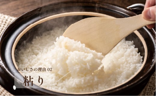 【先行予約】新米 令和7年産 夢しずく 5kg 29kg-0007