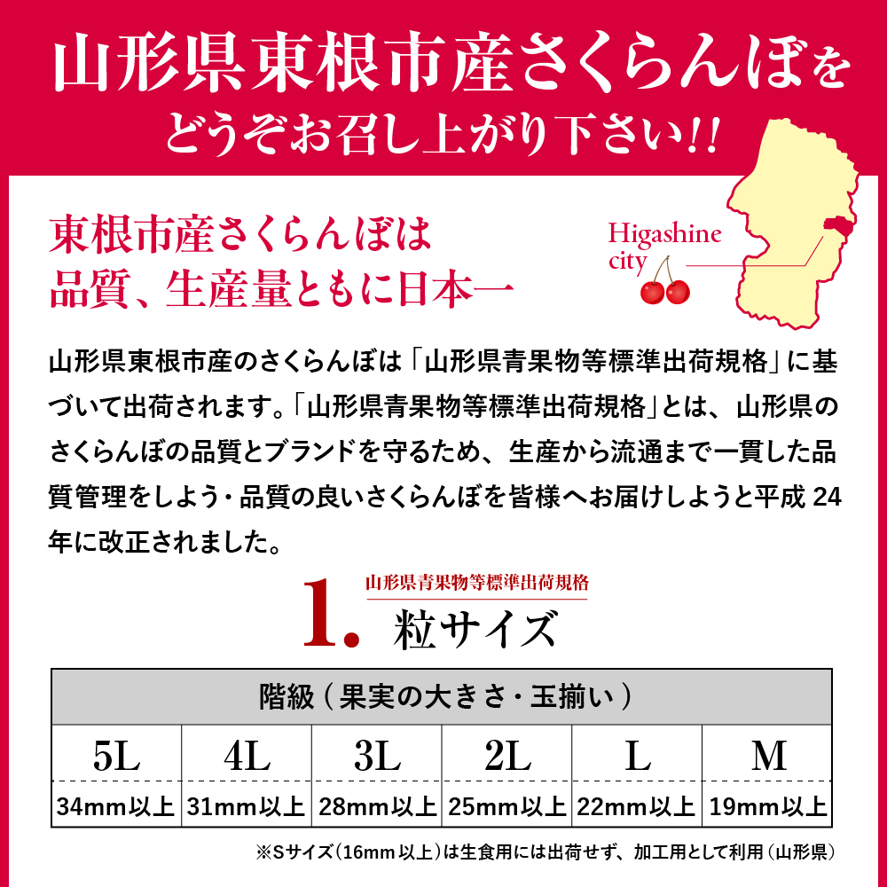 【2026年産】ご家庭用 さくらんぼ 佐藤錦 秀品 M玉以上 約360g 山形県 東根市 千笑花夢提供 hi082-066-r8 約360g（180g×2P）