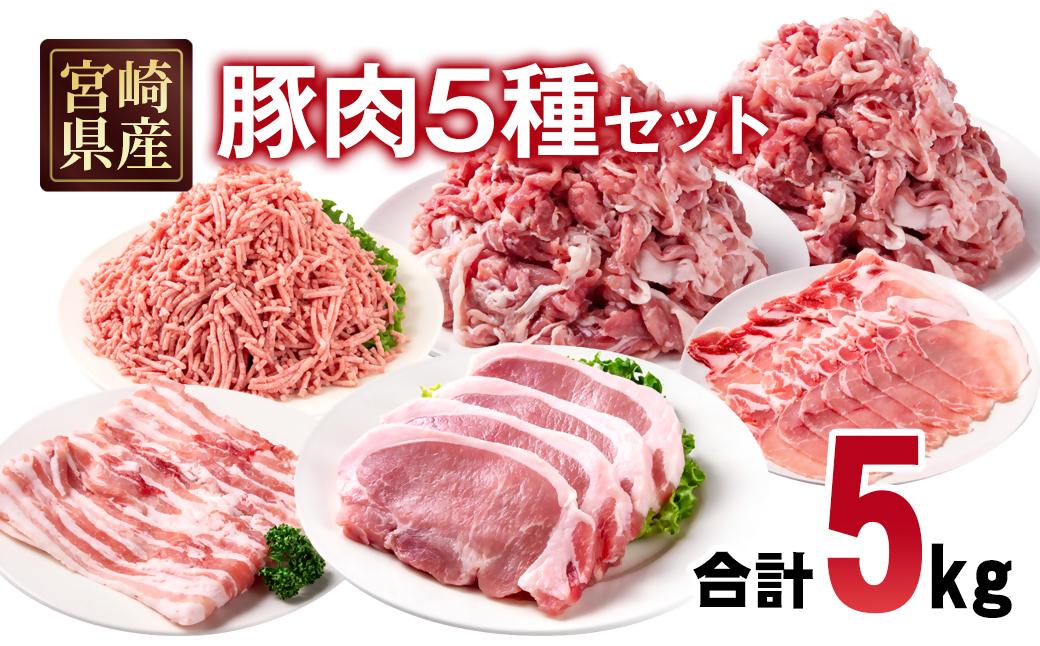 宮崎県産豚肉 5種 合計5kg セット 小分け24パック＜2-109＞