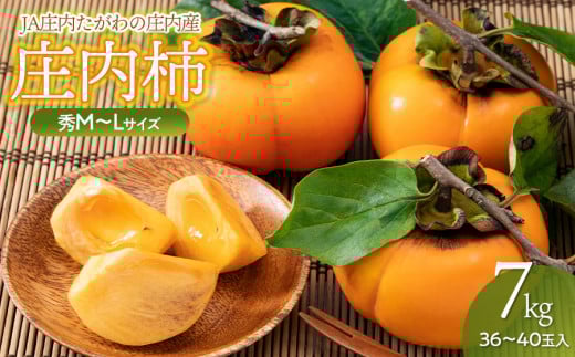 【令和8年産先行予約】JA庄内たがわの庄内柿 約7kg　秀品　M～Lサイズ （36～40玉）　K-835