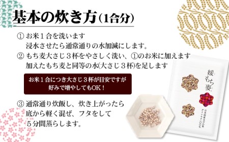 もち麦 媛もち麥 雑穀 愛媛県産 もち麦【1kg×3袋】