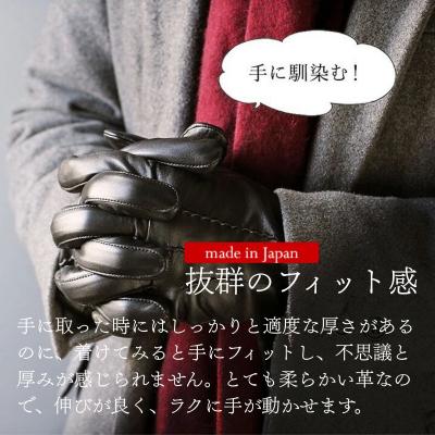 ふるさと納税 京都市 ※2025年10月以降順次お届け※【ぎんやんま】本羊革手袋  紳士グローブ(ブラック/Mサイズ) |  | 01