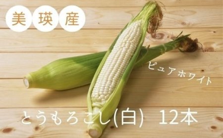 とうもろこし 美瑛産（白）１２本≪令和７年産予約受付！≫株式会社 おおとり　| とうもろこし 北海道 とうもろこし 美瑛町 とうもろこし産地直送 とうもろこし[014-74]