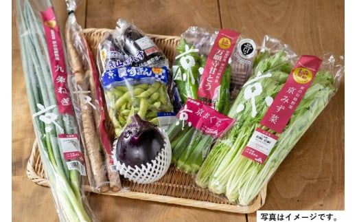 
【JA全農京都】季節の京野菜セット
