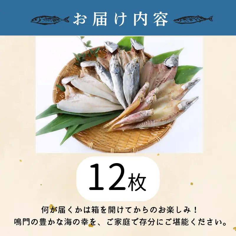 干物 詰め合わせ 4種以上 12枚