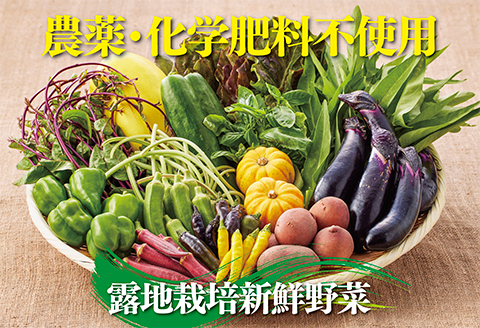 佐賀産季節の旬野菜10種類（農薬・化学肥料不使用）：B120-036