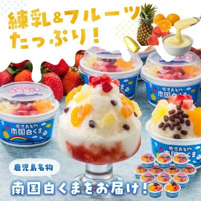 ふるさと納税 南九州市 南国白くま 12個セット |  | 01