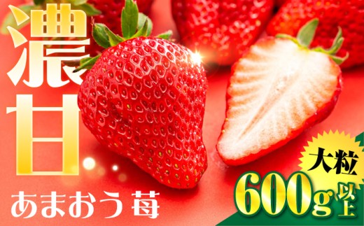 【先行受付】【化粧箱】あまおう いちご600ｇ以上  【2027年1月以降順次発送】糸島市 / 株式会社フルコンス [ALO001]