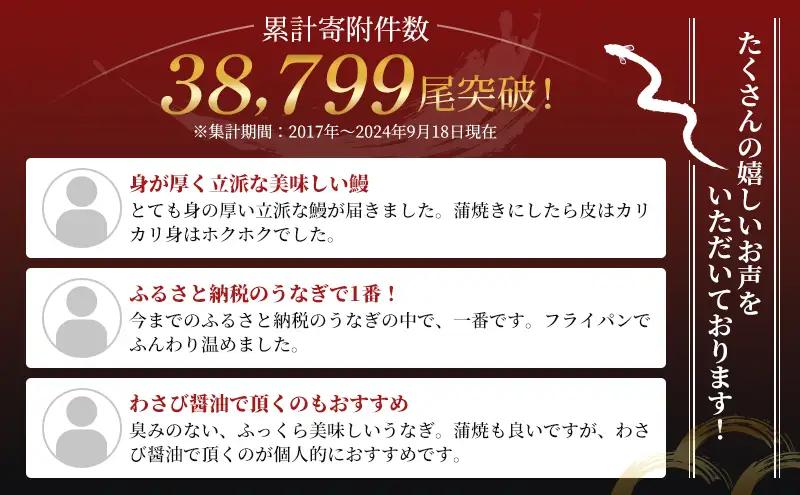 うなぎ 国産 白焼き 2尾 400g 浜名湖産 うなぎ