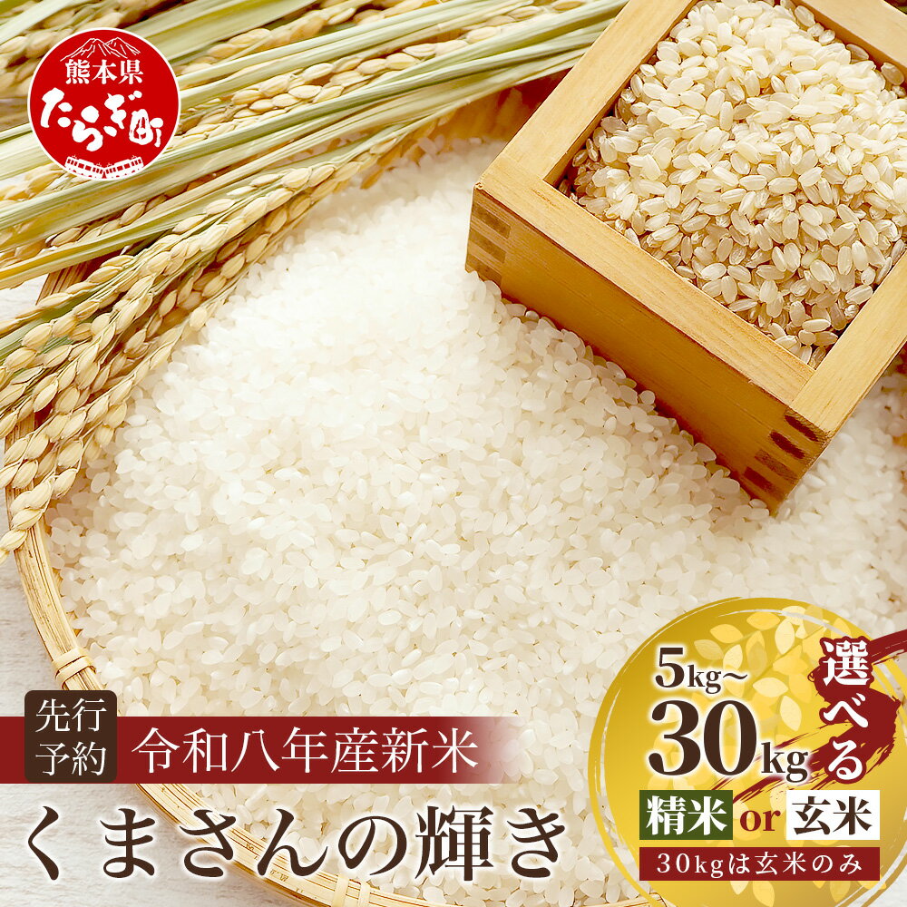 【ふるさと納税】令和8年産 新米 くまさんの輝き 5kg / 10kg / 30kg 【精米・玄米選べる】熊本県 多良木町産 米 精米 お米 単一米 人気 数量限定 5キロ 10キロ 30キロ 白米 玄米 送料無料 10月中旬より順次発送中 送料無料 新米 たらぎ 多良木 熊本