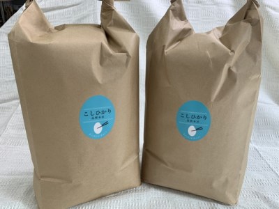 令和7年産 コシヒカリ 10kg ( 5kg × 2袋 ) 環境こだわり米 【AB62W】 白米 近江米 こしひかり
