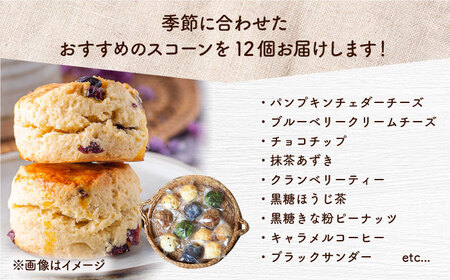厳選おすすめ スコーン 12個セット 焼き菓子 焼菓子 お菓子 冷凍 個包装 沖縄市 / ZEBRA.Bagel[BCAE003]