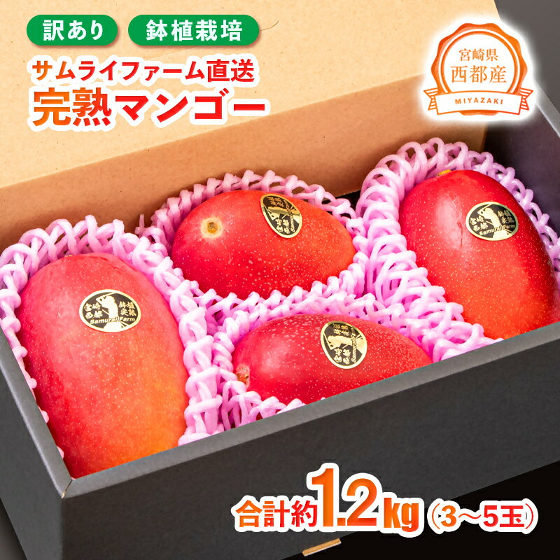 【ふるさと納税】『訳あり』宮崎完熟マンゴー3〜5玉（約1.2kg）（西都産）【鉢植栽培】西都市 宮崎 令和8年収穫分 果物 フルーツ 先行予約＜1.3-27＞