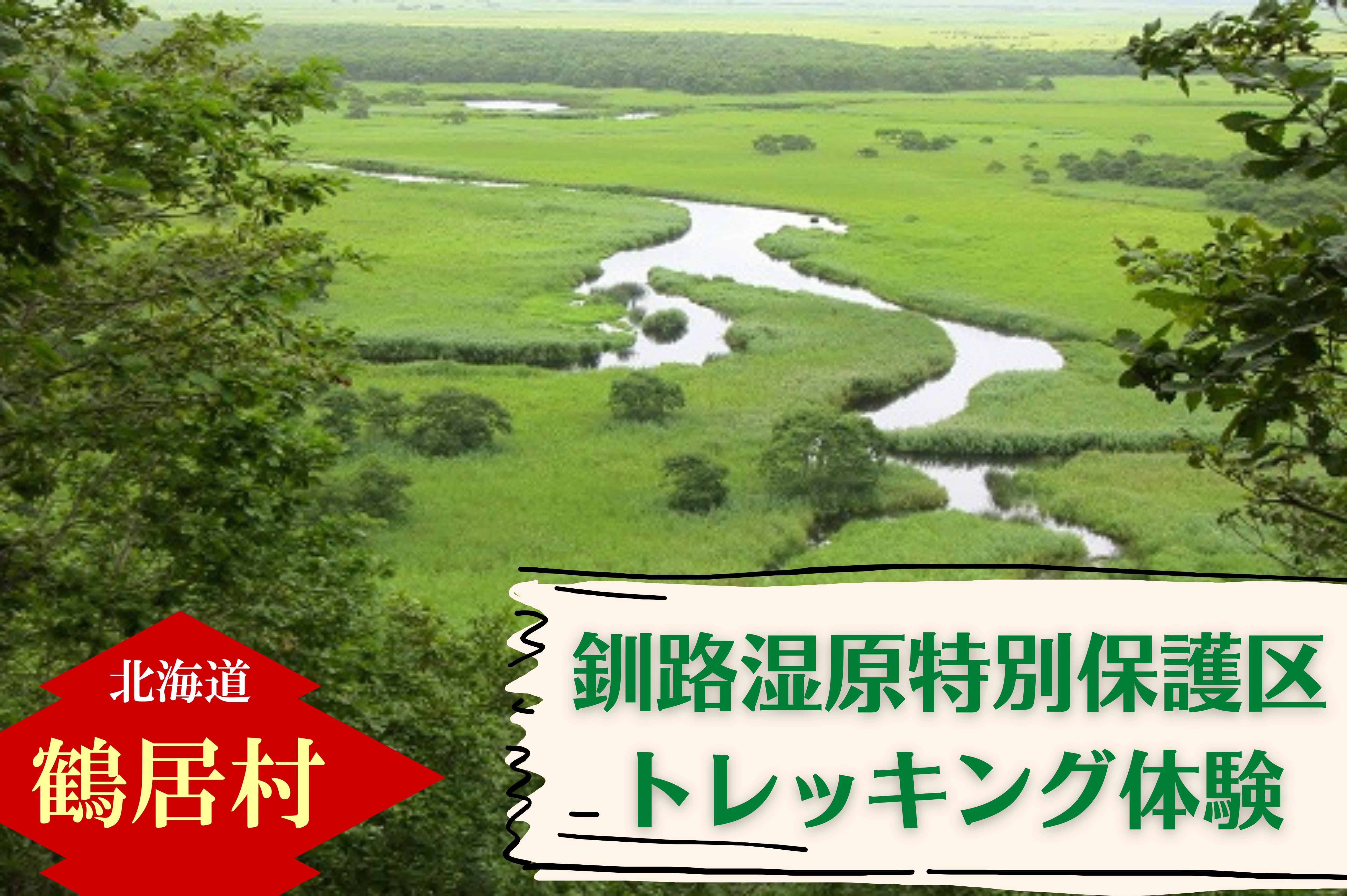 北海道 鶴居村 水の大地　釧路湿原特別保護区トレッキング体験　チケット1枚1名様  鶴居村 ふるさと納税