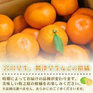012-3　果樹園直送　美味しさが濃いね！テロワールみかん　7kg(10月～11月発送）