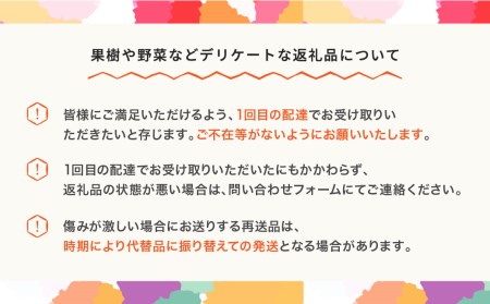 先行予約 ラ・フランス 約5kg 秀品 令和8年産 mm-lasxx5