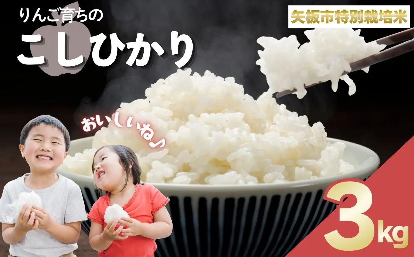 お米 矢板市特別栽培米「コシヒカリ」りんご育ちの こしひかり 3kg 