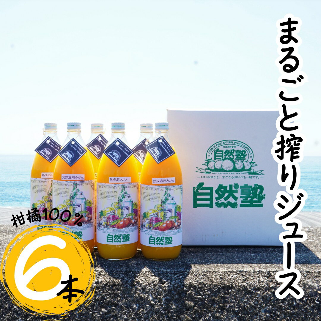 【ふるさと納税】15.自然塾　柑橘100%まるごと絞りジュース　6本入り　みかんジュース オレンジ ポンカン 不知火 温州 ドリンク 飲料 飲み物 朝食 無添加 季節 旬