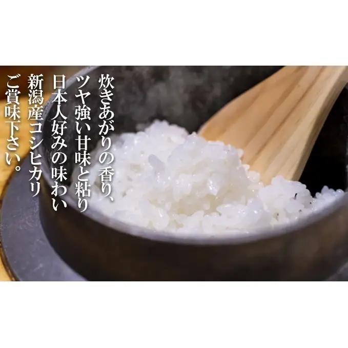 コシヒカリ 特別栽培米 5㎏ 新潟県産 こしひかり