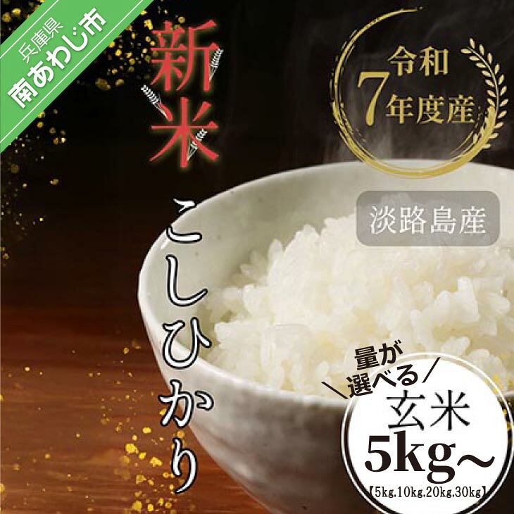 【ふるさと納税】令和7年産新米　淡路島産こしひかり　玄米【5kg・10kg・20kg・30kg】