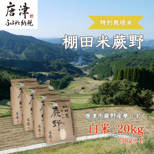 『先行予約』【令和7年産新米】特別栽培棚田米「蕨野」5kg×４袋(合計20kg) 家庭排水が一切入らない自然水で作られたお米 10日に1回精米で新米のような味わい