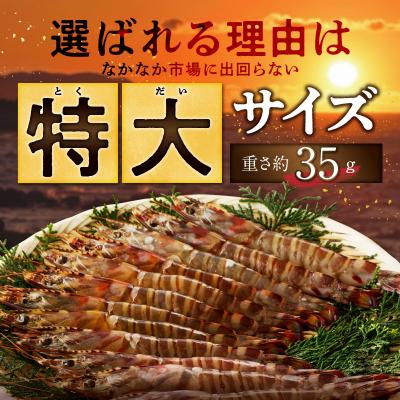 ふるさと納税 天草市 特大 車エビ 2パック セット_S059-020A |  | 01