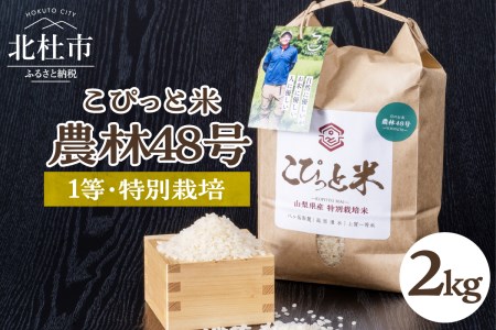 【令和6年度新米先行予約】【令和6年度米】こぴっと米【農林48号】2kg　1等特別栽培 100％