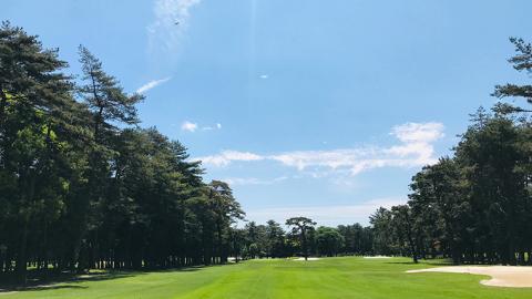 フレンドシップカントリークラブ 平日 ビジタープレー券（セルフ） 1名 ゴルフ プレー券 ゴルフ場 チケット [AW001ya]