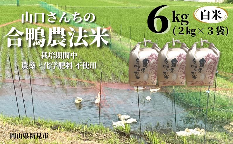 
            【令和6年産】山口さんちの合鴨農法米 白米6kg (2kg×3袋)
          