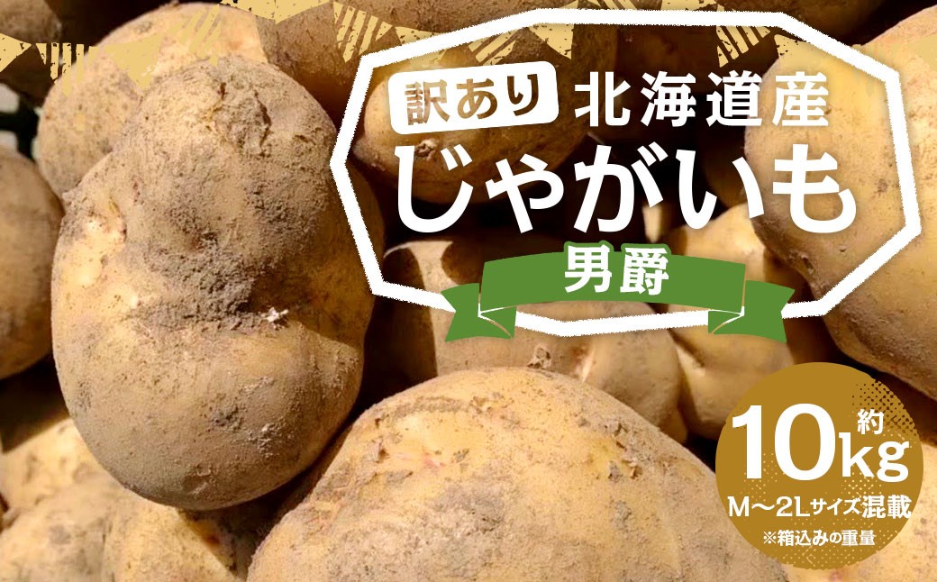 
                  【訳あり】北海道産 じゃがいも 男爵 M～2Lサイズ混載 約10kg 1箱 ジャガイモ 野菜 シチュー カレー 食品  まとめ買い 業務用 ご家庭用 山田農場 慣行栽培 京極町産 北海道産 国産 【2026年9月下旬-2027年1月上旬迄発送予定】
                